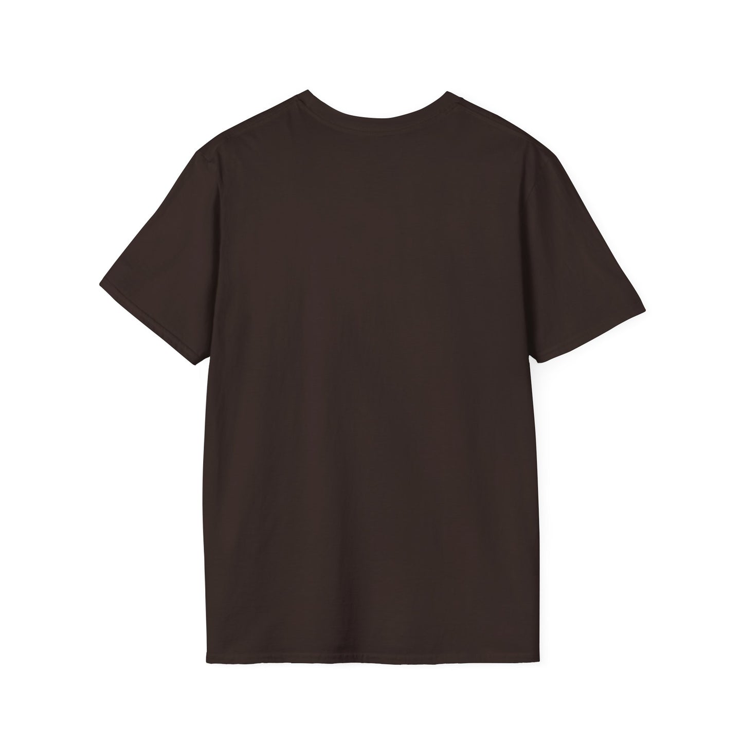The Punny Shirt Promise