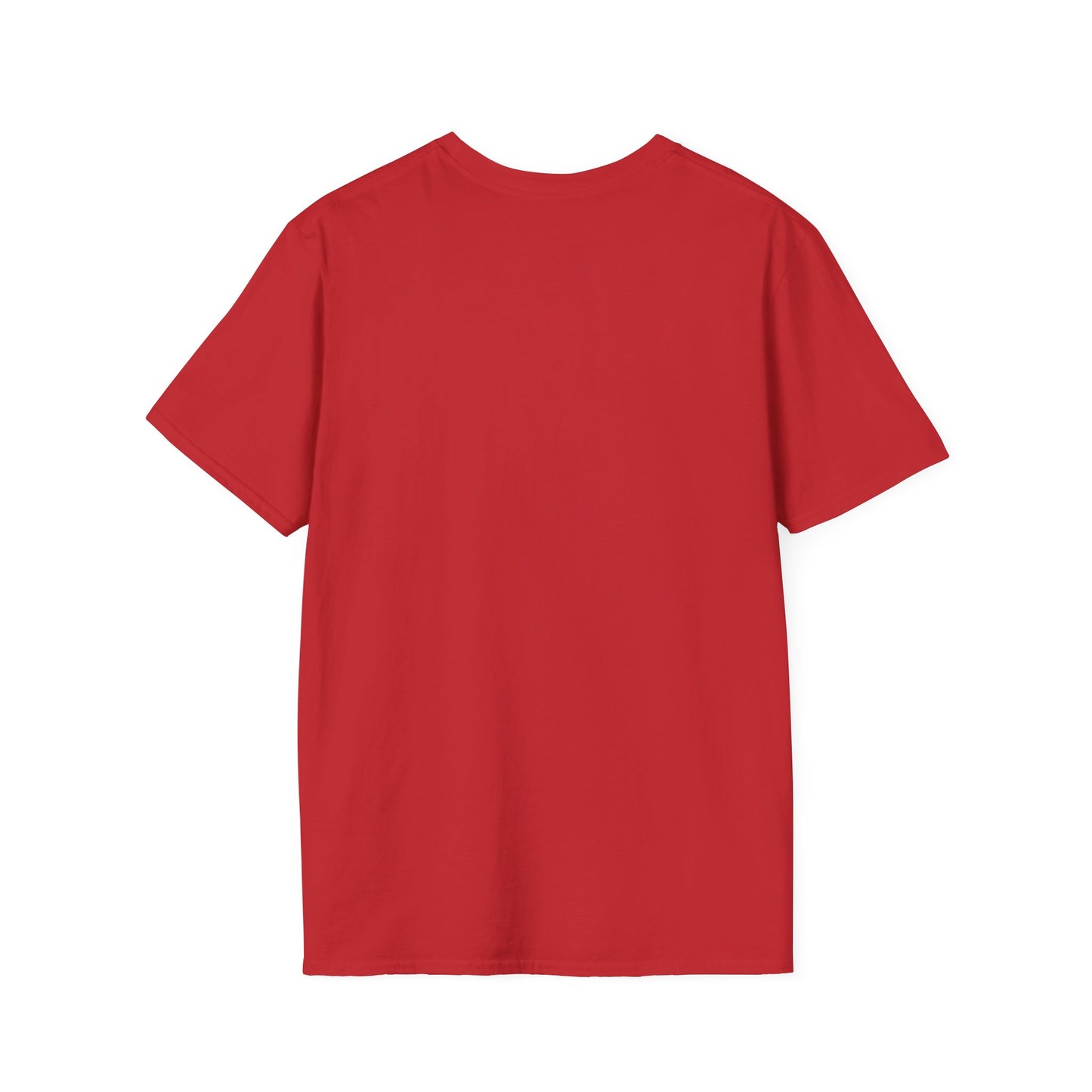 The Punny Shirt Promise