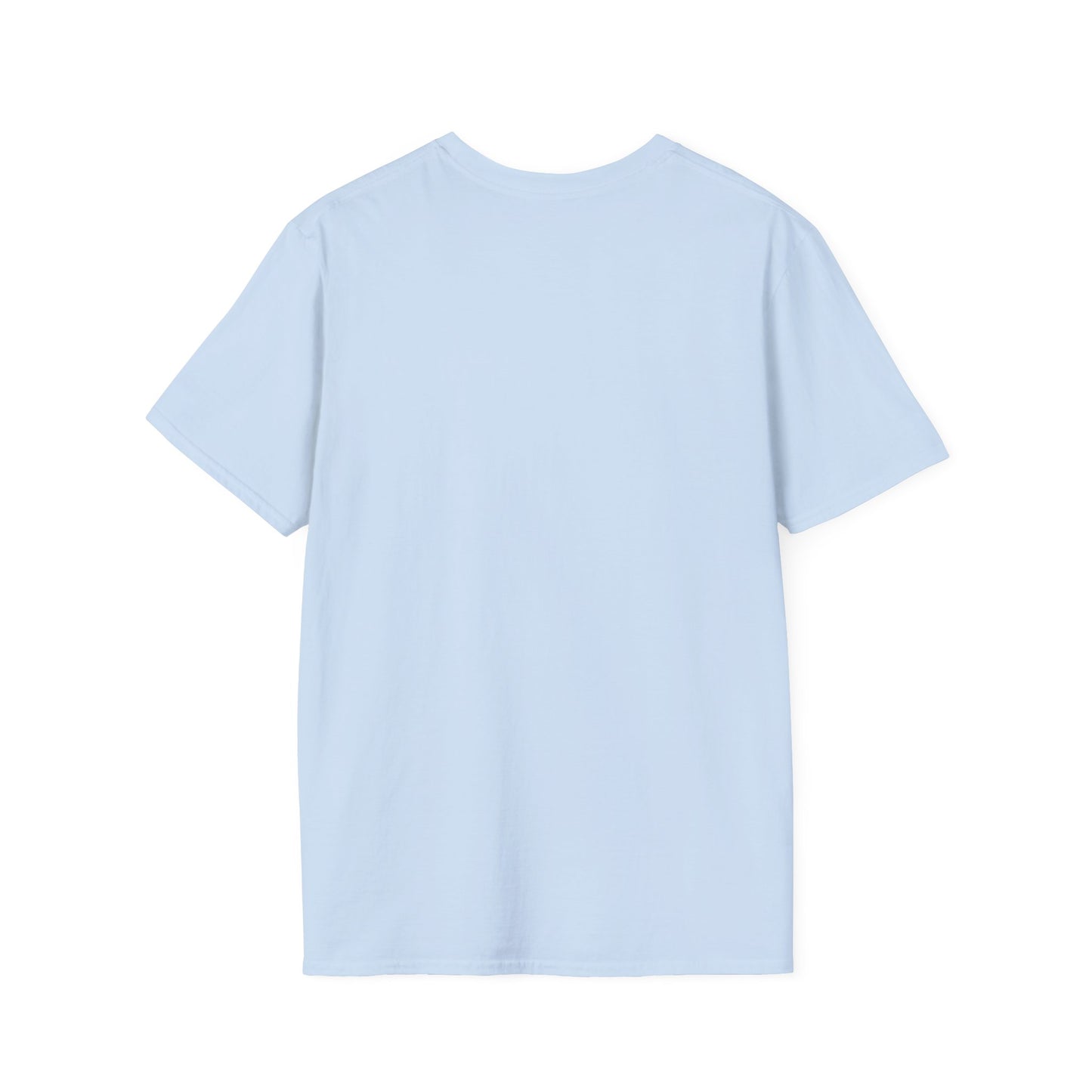 The Punny Shirt Promise