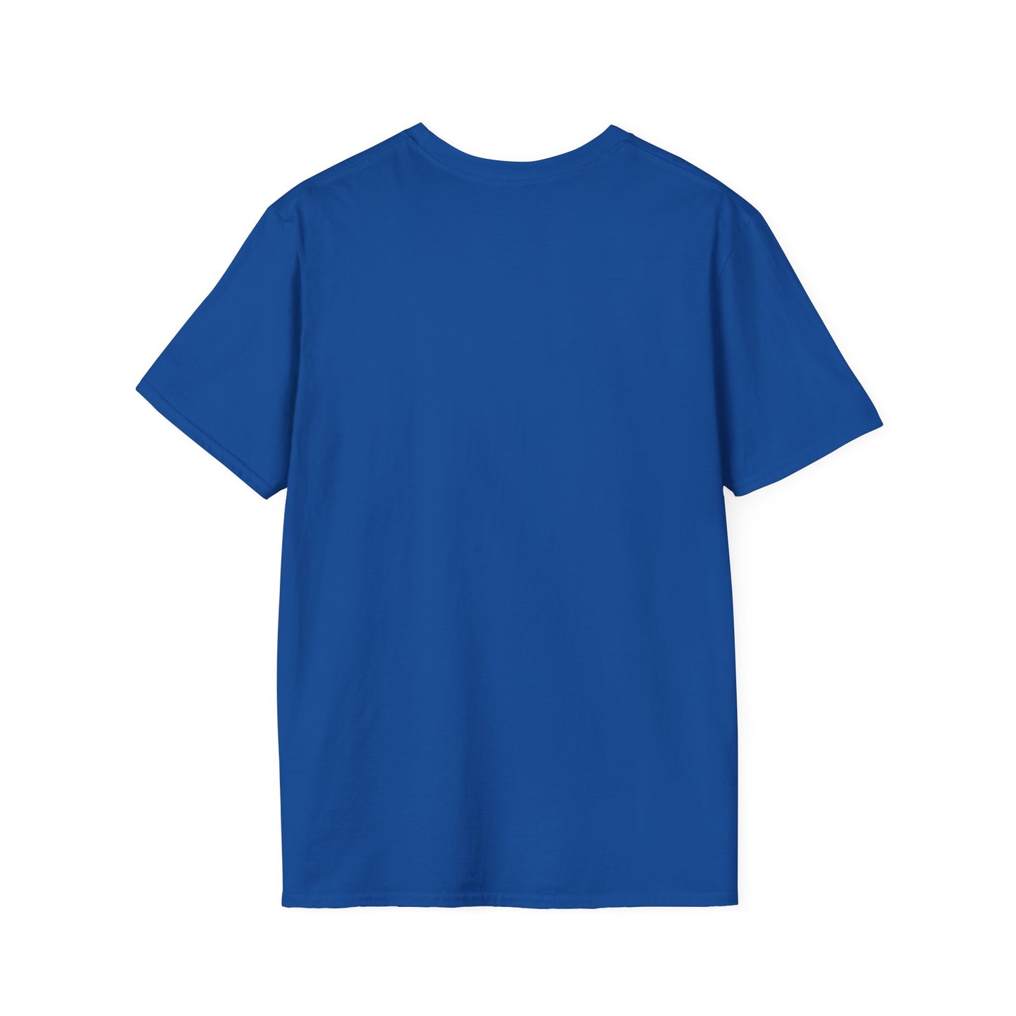 The Punny Shirt Promise